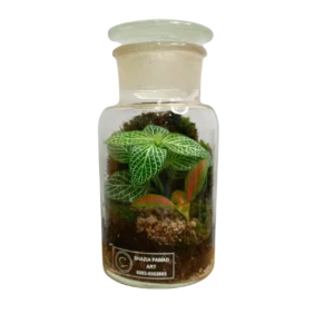 APOTHECARY BOTTLE TERRARIUM