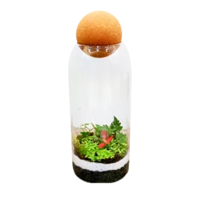 Cork Terrarium (1)