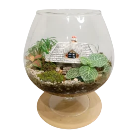 GLOBULAR TERRARIUM 1