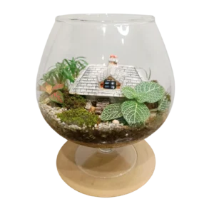 Globular Terrarium