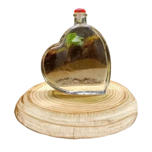 HEART TERRARIUM 2