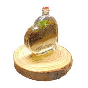 HEART TERRARIUM