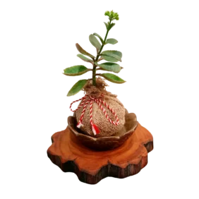 MEDIUM JUTE KOKEDAMA 1