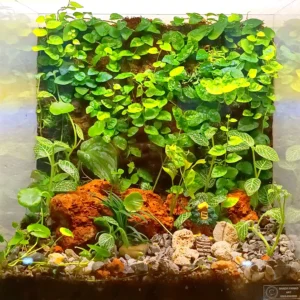 Moss Wall Terrarium