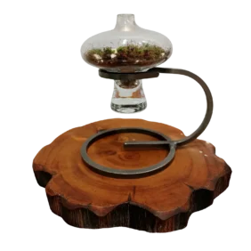 SMALL FLASK TERRARIUM